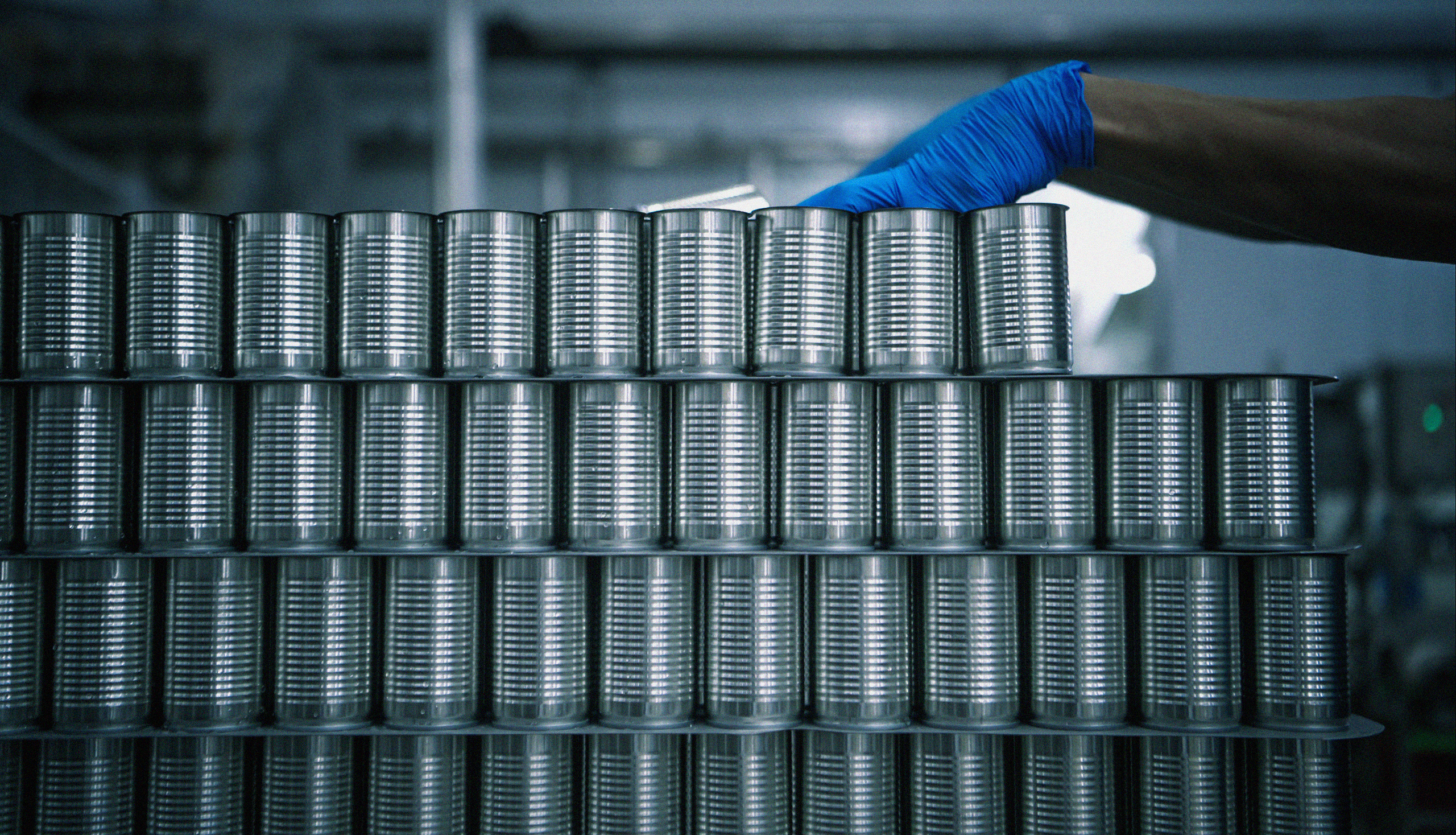 Food & Beverage Aluminum