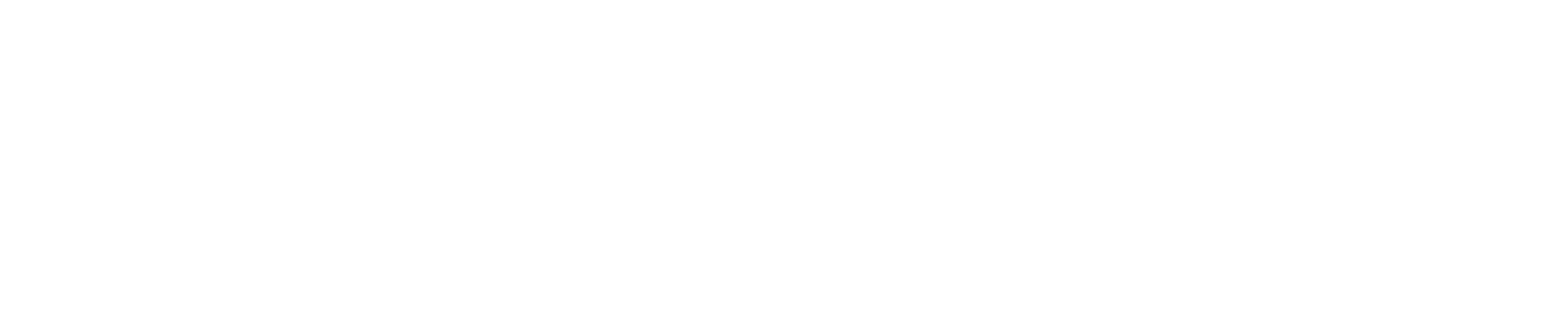 logo light