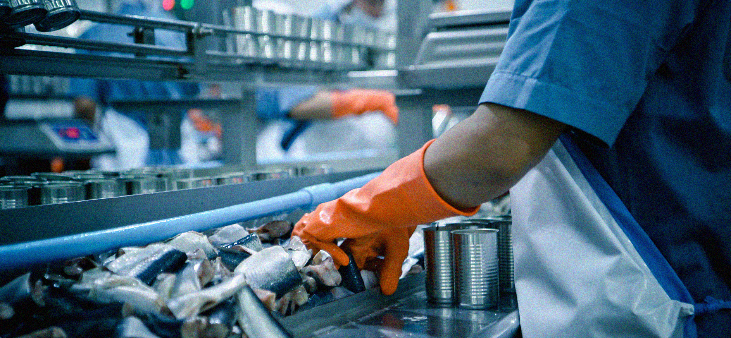 Food & Beverage Aluminum